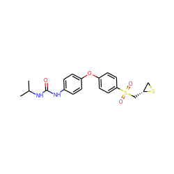 CC(C)NC(=O)Nc1ccc(Oc2ccc(S(=O)(=O)C[C@@H]3CS3)cc2)cc1 ZINC000096939130