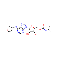 CC(C)NC(=O)OC[C@H]1O[C@@H](n2cnc3c(N[C@@H]4CCOC4)ncnc32)[C@H](O)[C@@H]1O ZINC000013589083