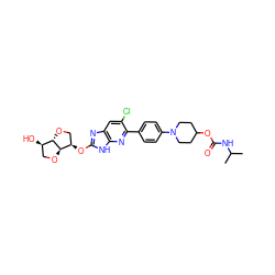 CC(C)NC(=O)OC1CCN(c2ccc(-c3nc4[nH]c(O[C@@H]5CO[C@H]6[C@H](O)CO[C@@H]65)nc4cc3Cl)cc2)CC1 ZINC001772637079