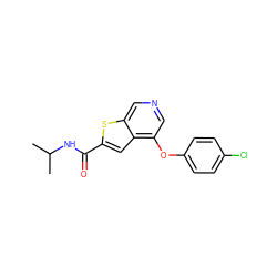 CC(C)NC(=O)c1cc2c(Oc3ccc(Cl)cc3)cncc2s1 ZINC000653883189