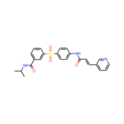 CC(C)NC(=O)c1cccc(S(=O)(=O)c2ccc(NC(=O)/C=C/c3cccnc3)cc2)c1 ZINC000142160758