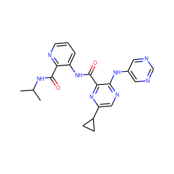 CC(C)NC(=O)c1ncccc1NC(=O)c1nc(C2CC2)cnc1Nc1cncnc1 ZINC000169701842