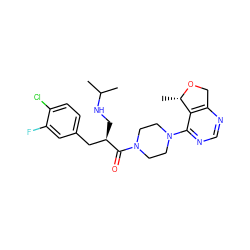 CC(C)NC[C@H](Cc1ccc(Cl)c(F)c1)C(=O)N1CCN(c2ncnc3c2[C@H](C)OC3)CC1 ZINC000066258792