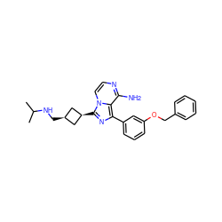 CC(C)NC[C@H]1C[C@@H](c2nc(-c3cccc(OCc4ccccc4)c3)c3c(N)nccn32)C1 ZINC000253660162