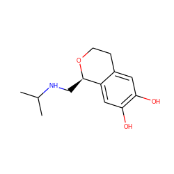 CC(C)NC[C@H]1OCCc2cc(O)c(O)cc21 ZINC000011422430