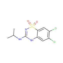 CC(C)NC1=NS(=O)(=O)c2cc(Cl)c(Cl)cc2N1 ZINC000013648636