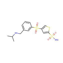 CC(C)NCc1cccc(S(=O)(=O)c2csc(S(N)(=O)=O)c2)c1 ZINC000013727913