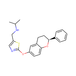 CC(C)NCc1cnc(Oc2ccc3c(c2)CC[C@@H](c2ccccc2)O3)s1 ZINC000145595074