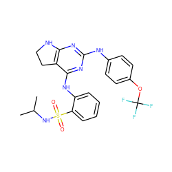 CC(C)NS(=O)(=O)c1ccccc1Nc1nc(Nc2ccc(OC(F)(F)F)cc2)nc2c1CCN2 ZINC000221670440