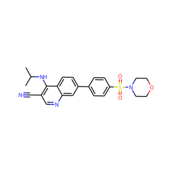 CC(C)Nc1c(C#N)cnc2cc(-c3ccc(S(=O)(=O)N4CCOCC4)cc3)ccc12 ZINC000095602618