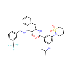 CC(C)Nc1cc(C(=O)N[C@@H](Cc2ccccc2)[C@H](O)CNCc2cccc(C(F)(F)F)c2)cc(N2CCCCS2(=O)=O)c1 ZINC000029039600