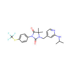 CC(C)Nc1cc(CN2C(=O)N(c3ccc(SC(F)(F)F)cc3)C(=O)C2(C)C)ccn1 ZINC000071319229