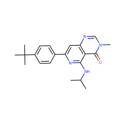 CC(C)Nc1nc(-c2ccc(C(C)(C)C)cc2)cc2ncn(C)c(=O)c12 ZINC000115625367