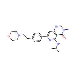 CC(C)Nc1nc(-c2ccc(CCN3CCOCC3)cc2)cc2ncn(C)c(=O)c12 ZINC000115621991