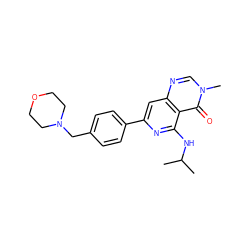 CC(C)Nc1nc(-c2ccc(CN3CCOCC3)cc2)cc2ncn(C)c(=O)c12 ZINC000115625240