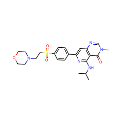 CC(C)Nc1nc(-c2ccc(S(=O)(=O)CCN3CCOCC3)cc2)cc2ncn(C)c(=O)c12 ZINC000115622028