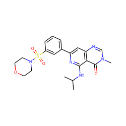 CC(C)Nc1nc(-c2cccc(S(=O)(=O)N3CCOCC3)c2)cc2ncn(C)c(=O)c12 ZINC000115626185