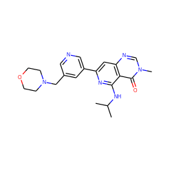 CC(C)Nc1nc(-c2cncc(CN3CCOCC3)c2)cc2ncn(C)c(=O)c12 ZINC000115624817