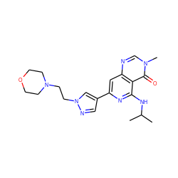 CC(C)Nc1nc(-c2cnn(CCN3CCOCC3)c2)cc2ncn(C)c(=O)c12 ZINC000115625541