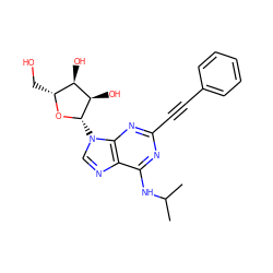 CC(C)Nc1nc(C#Cc2ccccc2)nc2c1ncn2[C@@H]1O[C@H](CO)[C@@H](O)[C@H]1O ZINC000013475054