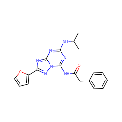 CC(C)Nc1nc(NC(=O)Cc2ccccc2)n2nc(-c3ccco3)nc2n1 ZINC000653760809