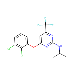 CC(C)Nc1nc(Oc2cccc(Cl)c2Cl)cc(C(F)(F)F)n1 ZINC000001396763