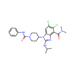 CC(C)Nc1nc2c(C(=O)N(C)C)c(Cl)c(Cl)cc2n1C1CCN(C(=O)Nc2ccccc2)CC1 ZINC000095585378