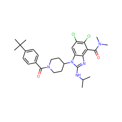 CC(C)Nc1nc2c(C(=O)N(C)C)c(Cl)c(Cl)cc2n1C1CCN(C(=O)c2ccc(C(C)(C)C)cc2)CC1 ZINC000095582106