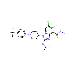 CC(C)Nc1nc2c(C(=O)N(C)C)c(Cl)c(Cl)cc2n1C1CCN(c2ccc(C(C)(C)C)cc2)CC1 ZINC000095581439