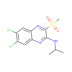 CC(C)Nc1nc2cc(Cl)c(Cl)cc2nc1S(C)(=O)=O ZINC000028951009