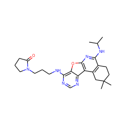 CC(C)Nc1nc2oc3c(NCCCN4CCCC4=O)ncnc3c2c2c1CCC(C)(C)C2 ZINC000034986644