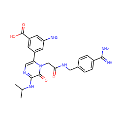 CC(C)Nc1ncc(-c2cc(N)cc(C(=O)O)c2)n(CC(=O)NCc2ccc(C(=N)N)cc2)c1=O ZINC000028964111