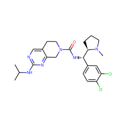 CC(C)Nc1ncc2c(n1)CN(C(=O)N[C@@H](c1ccc(Cl)c(Cl)c1)[C@H]1CCCN1C)CC2 ZINC000209317609