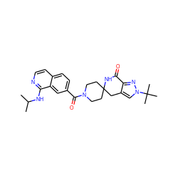 CC(C)Nc1nccc2ccc(C(=O)N3CCC4(CC3)Cc3cn(C(C)(C)C)nc3C(=O)N4)cc12 ZINC000261178367