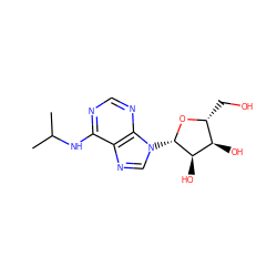 CC(C)Nc1ncnc2c1ncn2[C@@H]1O[C@H](CO)[C@@H](O)[C@H]1O ZINC000013782062