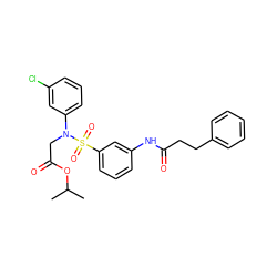 CC(C)OC(=O)CN(c1cccc(Cl)c1)S(=O)(=O)c1cccc(NC(=O)CCc2ccccc2)c1 ZINC000029129627