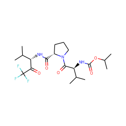 CC(C)OC(=O)N[C@H](C(=O)N1CCC[C@H]1C(=O)N[C@H](C(=O)C(F)(F)F)C(C)C)C(C)C ZINC000013765554