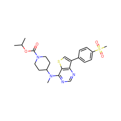 CC(C)OC(=O)N1CCC(N(C)c2ncnc3c(-c4ccc(S(C)(=O)=O)cc4)csc23)CC1 ZINC000205466299