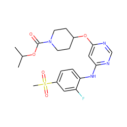 CC(C)OC(=O)N1CCC(Oc2cc(Nc3ccc(S(C)(=O)=O)cc3F)ncn2)CC1 ZINC000035984846