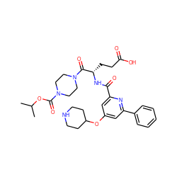 CC(C)OC(=O)N1CCN(C(=O)[C@H](CCC(=O)O)NC(=O)c2cc(OC3CCNCC3)cc(-c3ccccc3)n2)CC1 ZINC000042923682