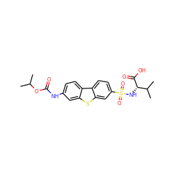 CC(C)OC(=O)Nc1ccc2c(c1)sc1cc(S(=O)(=O)N[C@H](C(=O)O)C(C)C)ccc12 ZINC000043120317