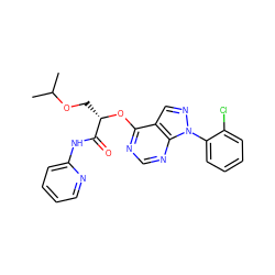 CC(C)OC[C@H](Oc1ncnc2c1cnn2-c1ccccc1Cl)C(=O)Nc1ccccn1 ZINC000114687187