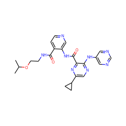 CC(C)OCCNC(=O)c1ccncc1NC(=O)c1nc(C2CC2)cnc1Nc1cncnc1 ZINC000169701730