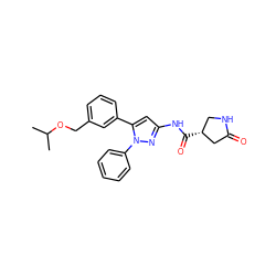 CC(C)OCc1cccc(-c2cc(NC(=O)[C@@H]3CNC(=O)C3)nn2-c2ccccc2)c1 ZINC000169707212