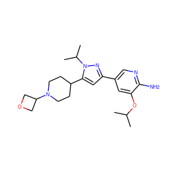 CC(C)Oc1cc(-c2cc(C3CCN(C4COC4)CC3)n(C(C)C)n2)cnc1N ZINC000146440611