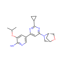 CC(C)Oc1cc(-c2cc(N3C[C@@H]4C[C@H]3CO4)nc(C3CC3)n2)cnc1N ZINC000653672872