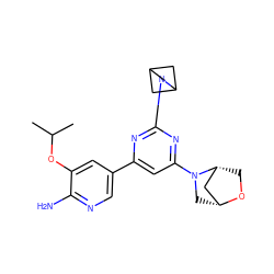 CC(C)Oc1cc(-c2cc(N3C[C@@H]4C[C@H]3CO4)nc(N3CC4CC3C4)n2)cnc1N ZINC000221217420