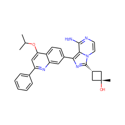 CC(C)Oc1cc(-c2ccccc2)nc2cc(-c3nc([C@H]4C[C@@](C)(O)C4)n4ccnc(N)c34)ccc12 ZINC000261108227