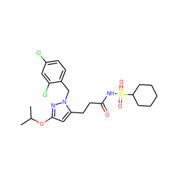 CC(C)Oc1cc(CCC(=O)NS(=O)(=O)C2CCCCC2)n(Cc2ccc(Cl)cc2Cl)n1 ZINC000073224816