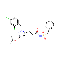 CC(C)Oc1cc(CCC(=O)NS(=O)(=O)Cc2ccccc2)n(Cc2ccc(Cl)cc2Cl)n1 ZINC000073219992